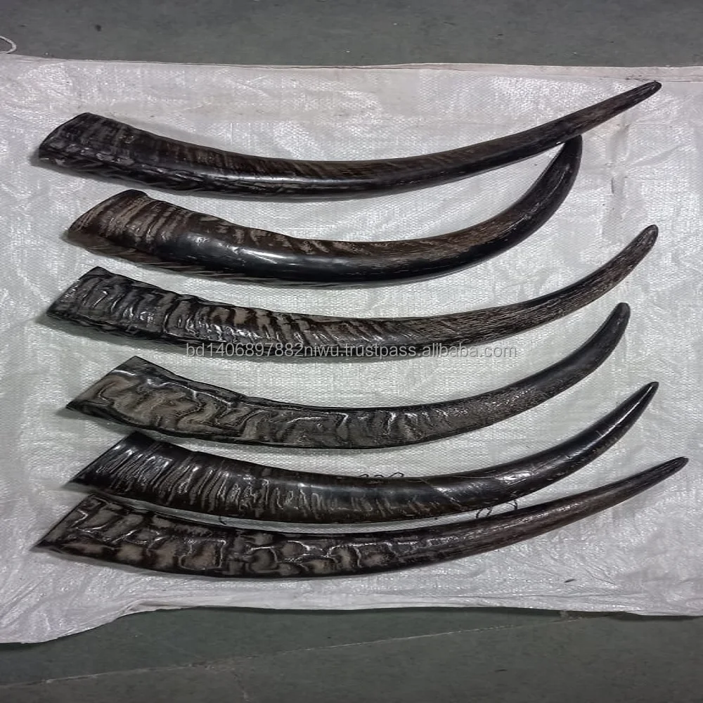 natural Buffalo raw Horn And Horn Tip/ and Quantity Black And natural Color for customized size and horn