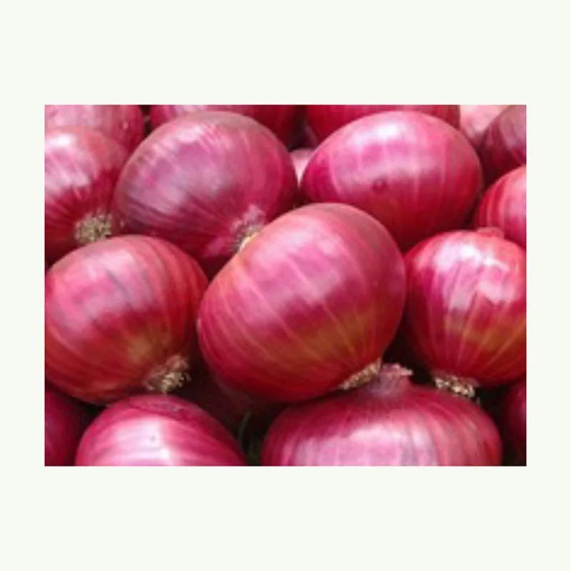 High quality The most popular wholesale Fresh Peeled Onion Red Yellow White Organic Onion