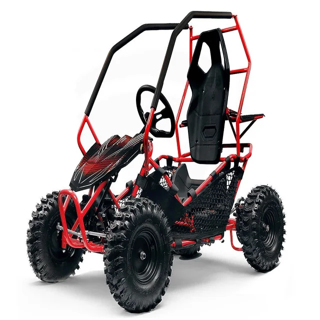 Go kart 196cc 212cc 2-местный перейти в корзину детский картинг приведенный