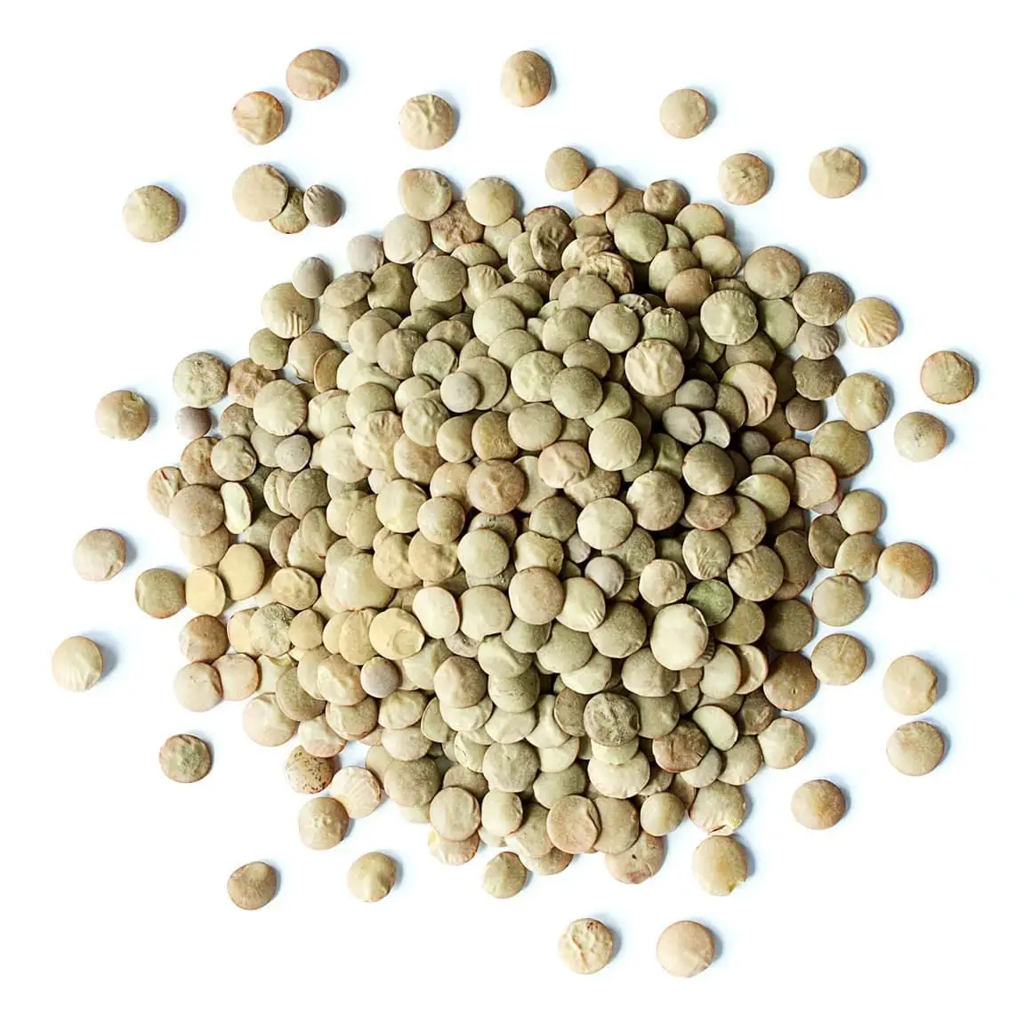 Hot Selling Price Organic Red Lentils / Split Red Lentils in Bulk