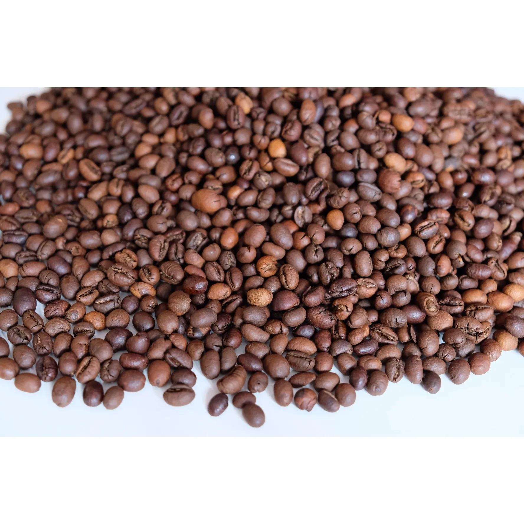 Premium Quality Culi S16 Roasted Carpentry Coffee Beans Culi Roasted Beans High Quality Coffee