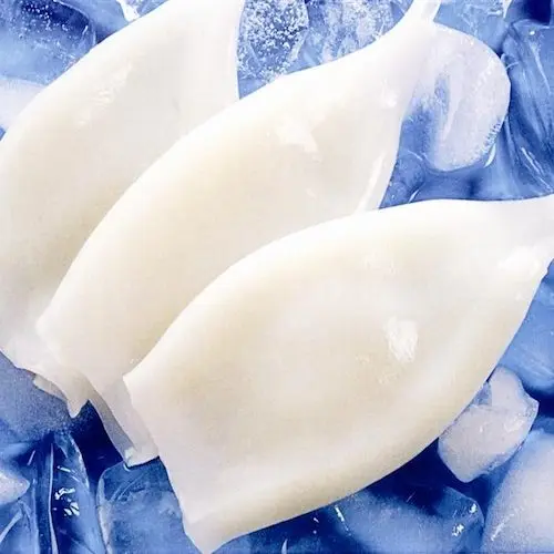 New Arrival High Quality Frozen Seafood Squid Frozen Squid slice