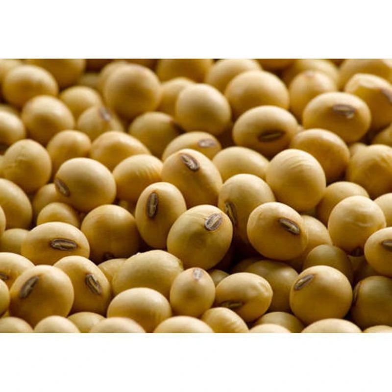 Wholesale Roasted Soya Beans Salted Yellow Beans Soybean Snacks