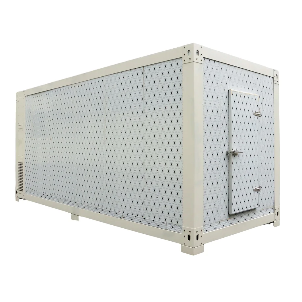 Mobile cold room color steel stainless steel walk-in freezer cold storage PU panel cold room equipment  cold room