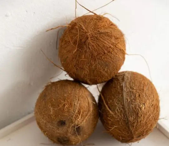 Pure Organic full and semi husked Coconut/Fresh Tender Coconut private label export best price sale