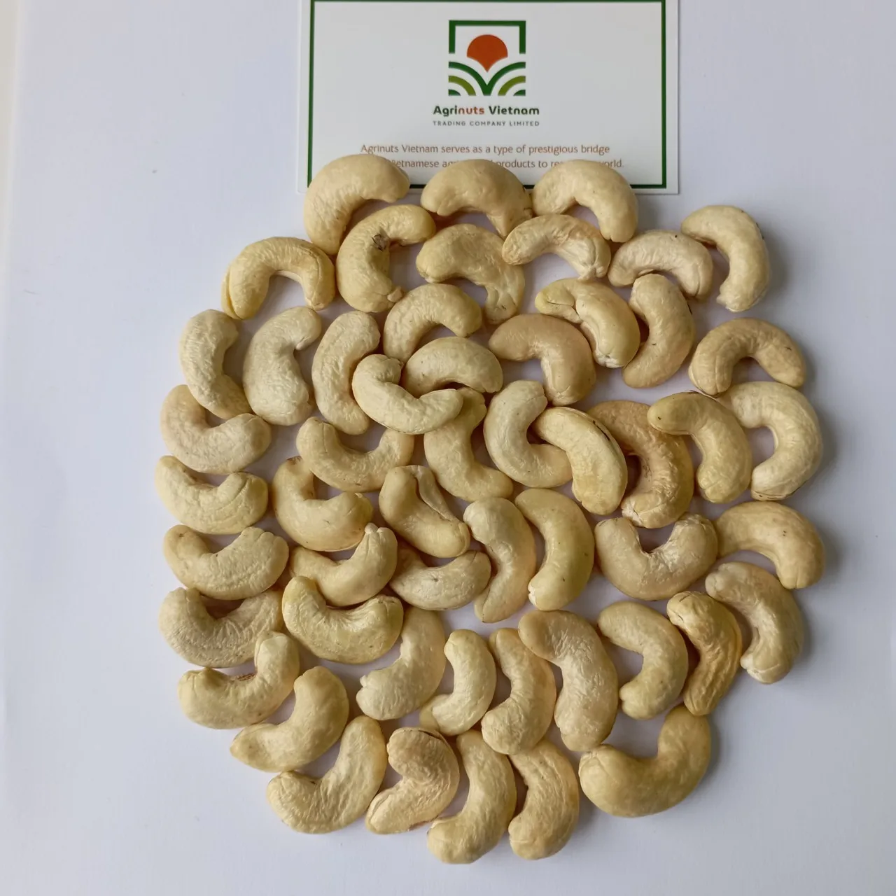 High Quality Cashew Nuts w240 Delicious Cashew Nut Kernel 100 % Natural For wholesale Negotiable Price
