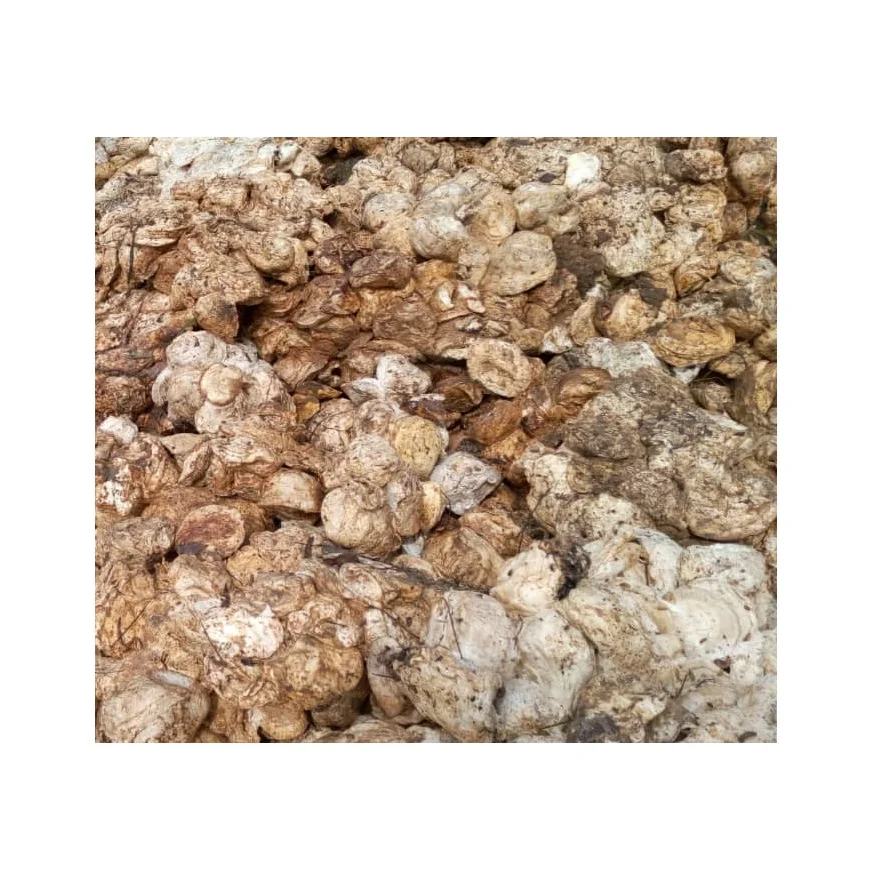 HIGH QUALITY NATURAL RUBBER CUP LUMPS WITH 62-72 % drc/Best Grade Rubber Cup Lump