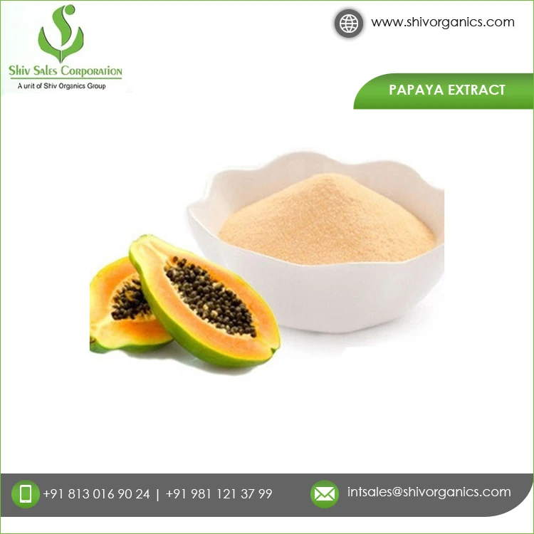 High Quality Wholesale Price Enzyme Organic Customized Papaya Extract Powder at Best Competitive Price