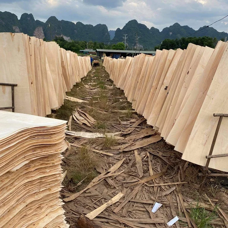 Cheap Price A Grade 100% core Rubber Wood Veneer Wood Face Rubber Veneers For Making Plywood Furniture From Vietnam