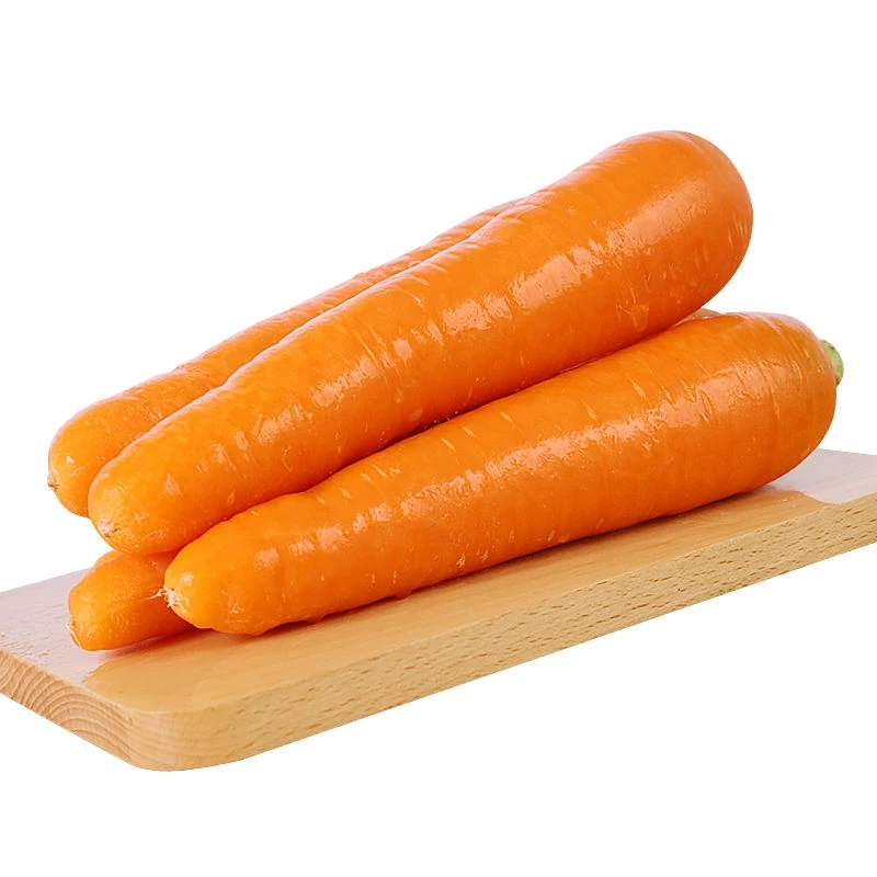 Fresh organic vegetables wholesale carrot Good price carrots available for export