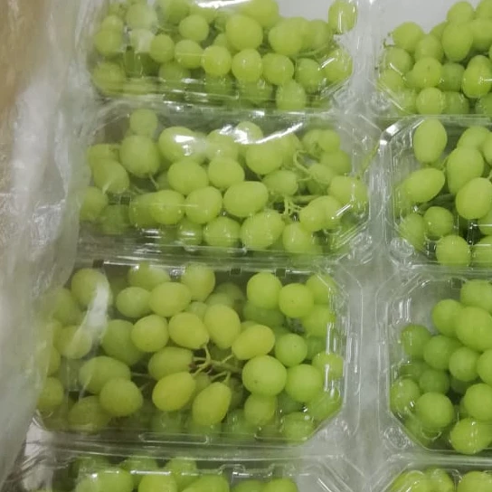 Fresh Superior Grapes , Flame Grapes , New Season of Fresh Grapes 2022