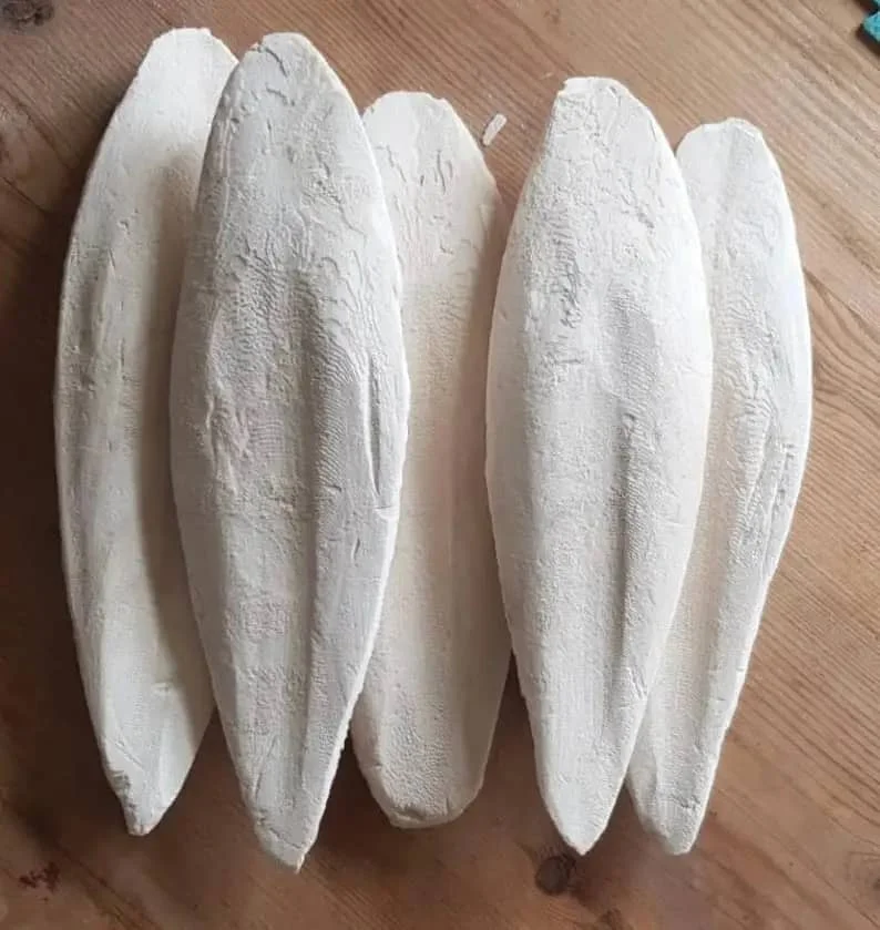 Premium Dry Cuttlefish Bone Big Size Cuttlebone Natural Cuttlefish Bone