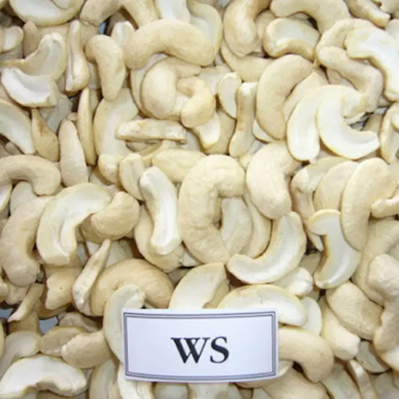 Cheapest Fado iExport Manufacturer Raw Cashew WS From Vietnam Wholesales Factory Price
