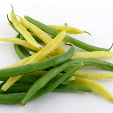 Premium Quality Food Grade  Green beans Wholesale  Bulk Style Storage Packing and Packaging ready for export