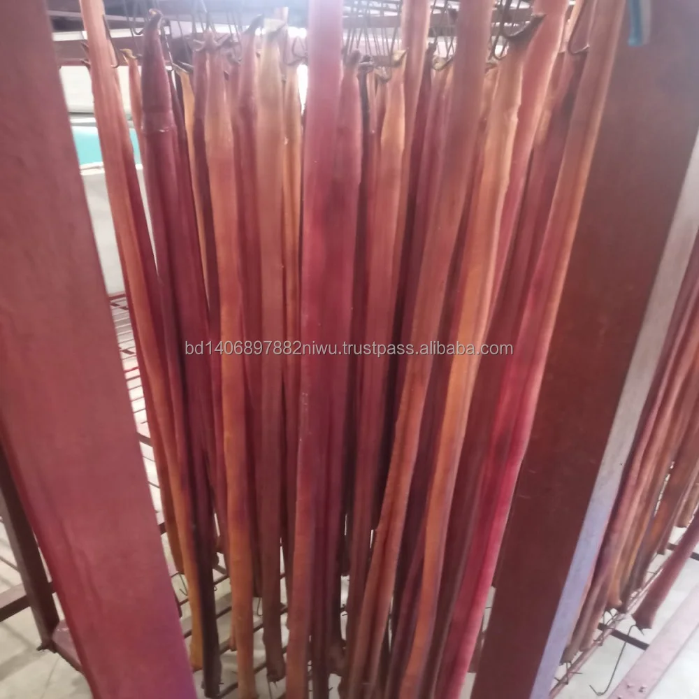 Special Offer BD Dried Beef Bully Sticks Dog Training Treats for Pet Food for Feeding Your Furry Friend