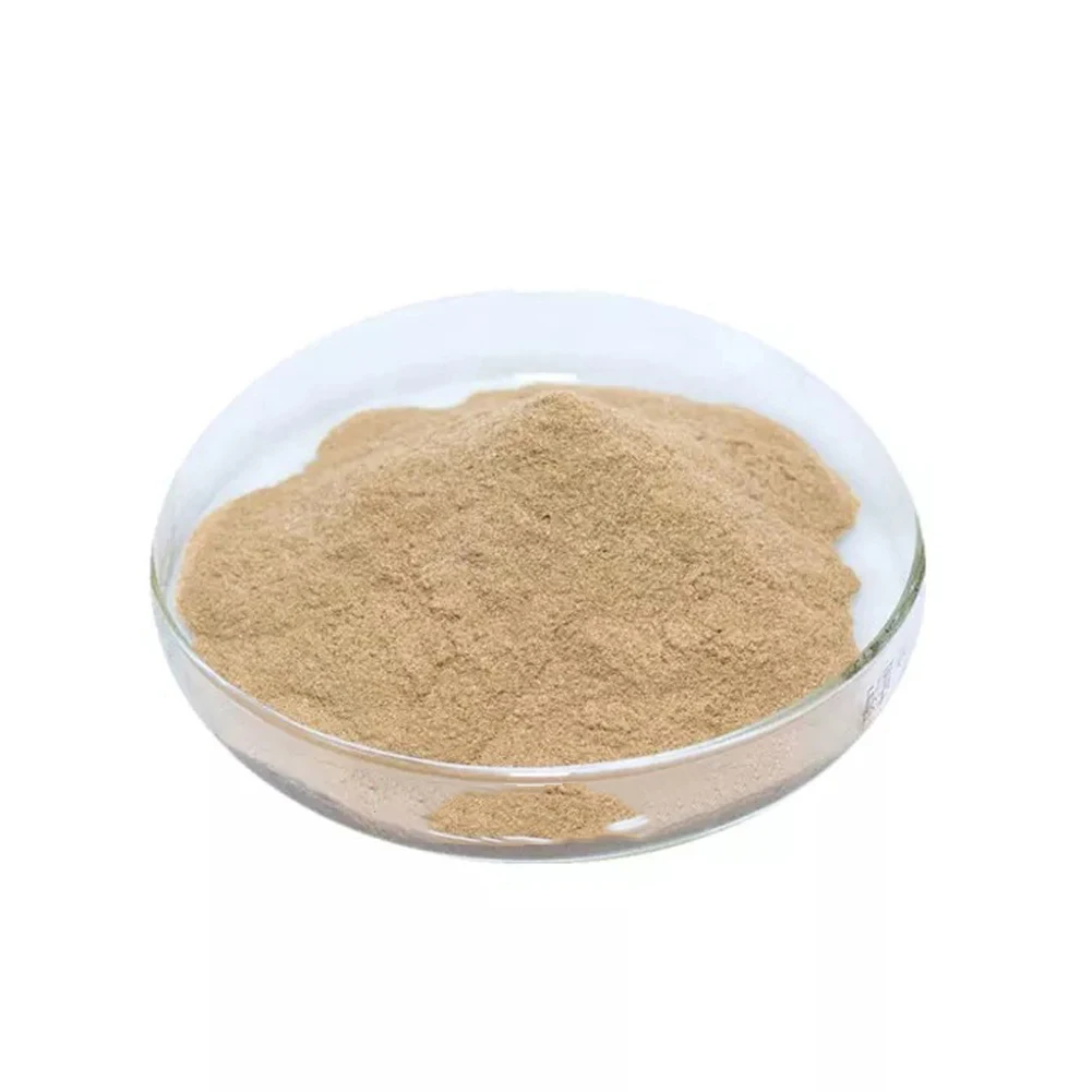 High End Seed Bulk Protein Ingredients Soybean Soy Bean Meal For Planting With High Quality