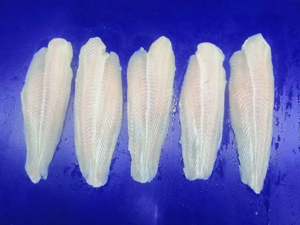 Nutritious Seafood - Frozen Basa Fish/Pangasius Made From 100% Fresh Catfish in Vietnam  at the Best Price and Top Quality