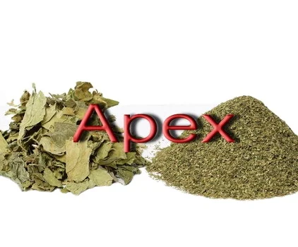 Гимнама сильвестера T Cut Gurmar Periploca из деревьев гимнаста leaves