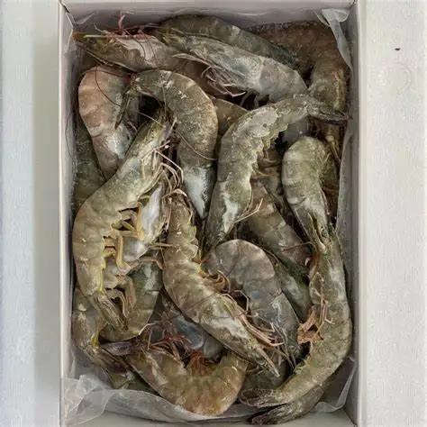 Frozen Seafood Of Tiger Prawn From Thailand Sea From 10 To 25 Kg With IIQF/BQF, And Master Cartoon Packing