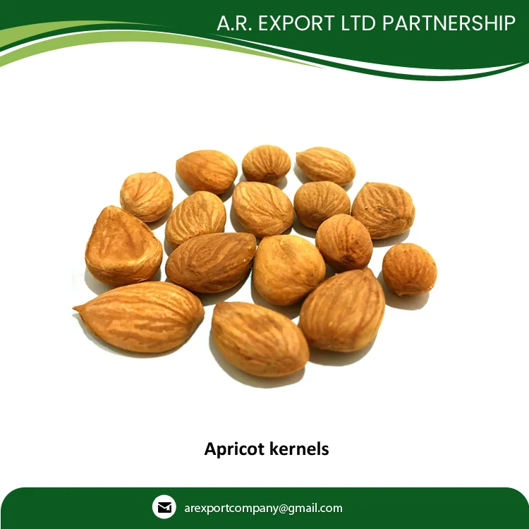 Сертифицированное качество оптовая продажа сушеные ядра абрикоса по лучшей цене доступны в экспортной качественной