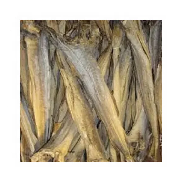 Dried StockFish / Frozen Stock Fish from Norway