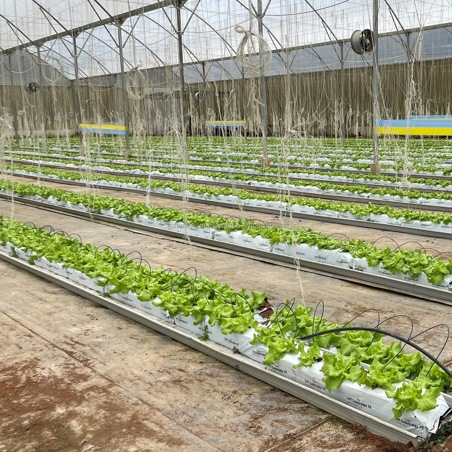 Environmentally Cocopeat Growbag 28L  Good Price High Quality Low MOQ Hot Sell From Viet Nam Agriculture brand from Tuff Vietnam