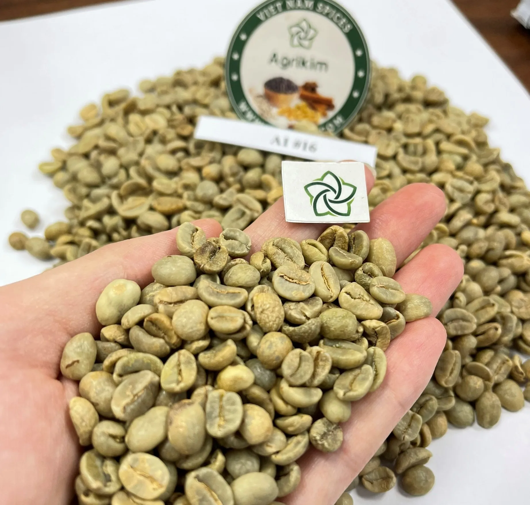 Premium Grade Green Coffee Bean Factory Supplier Pure Green Coffee Bean Hot Selling From Vietnam