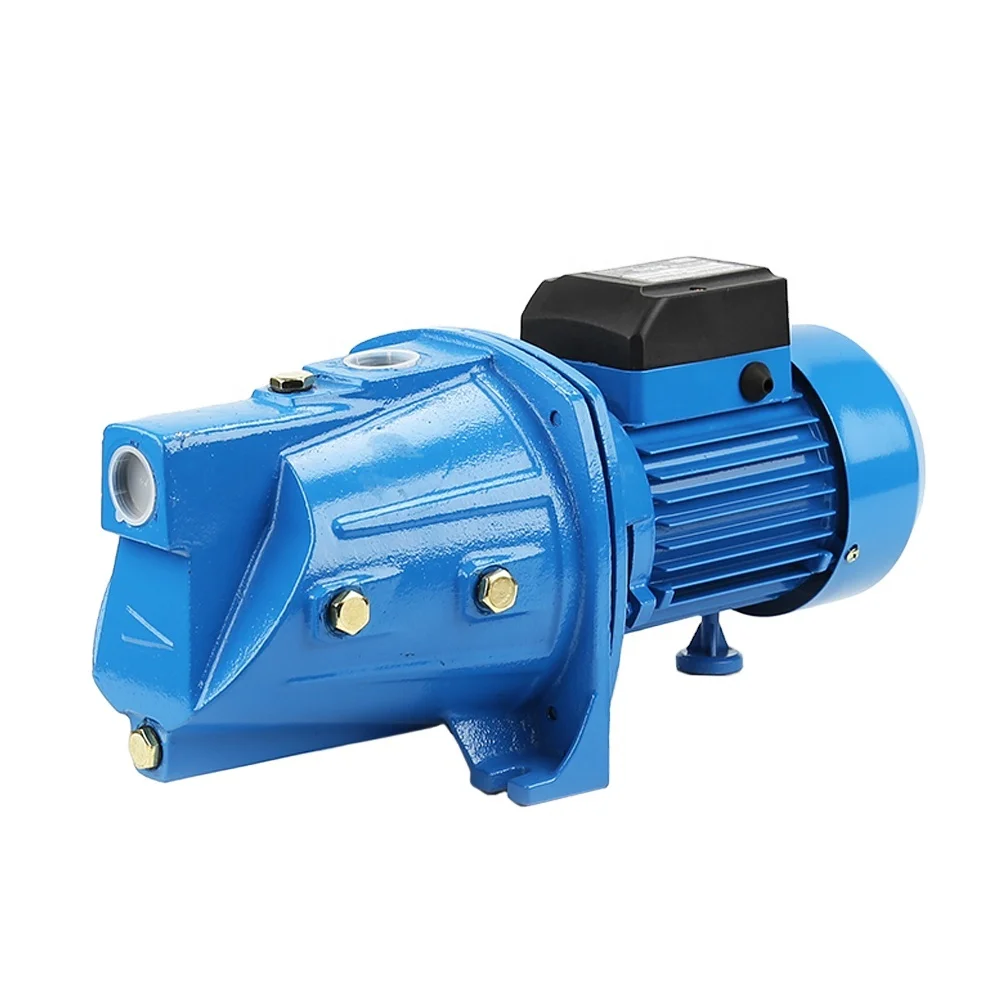 RUIQI Low-priced High Quality Electric Self-Priming Jet water pump 1HP JSP 355A/50 agricultural Water pump garden pump home use