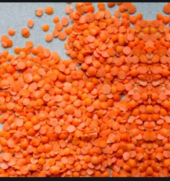 High Quality Red Lentils Healthy Dried Legumes in Bulk Corresponding to Interstate Standards Packed in Bags for Wholesaling