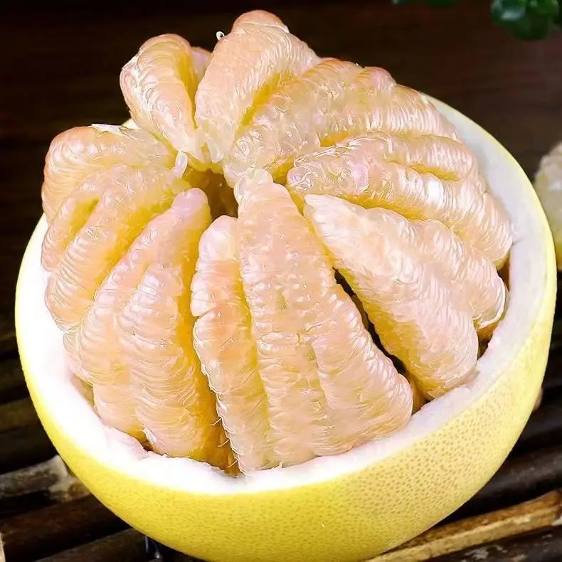 Wholesale organic fresh grapefruit golden grapefruit price discount red grapefruit