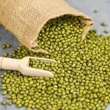 Green Mung Bean Grade  Green Mung Bean