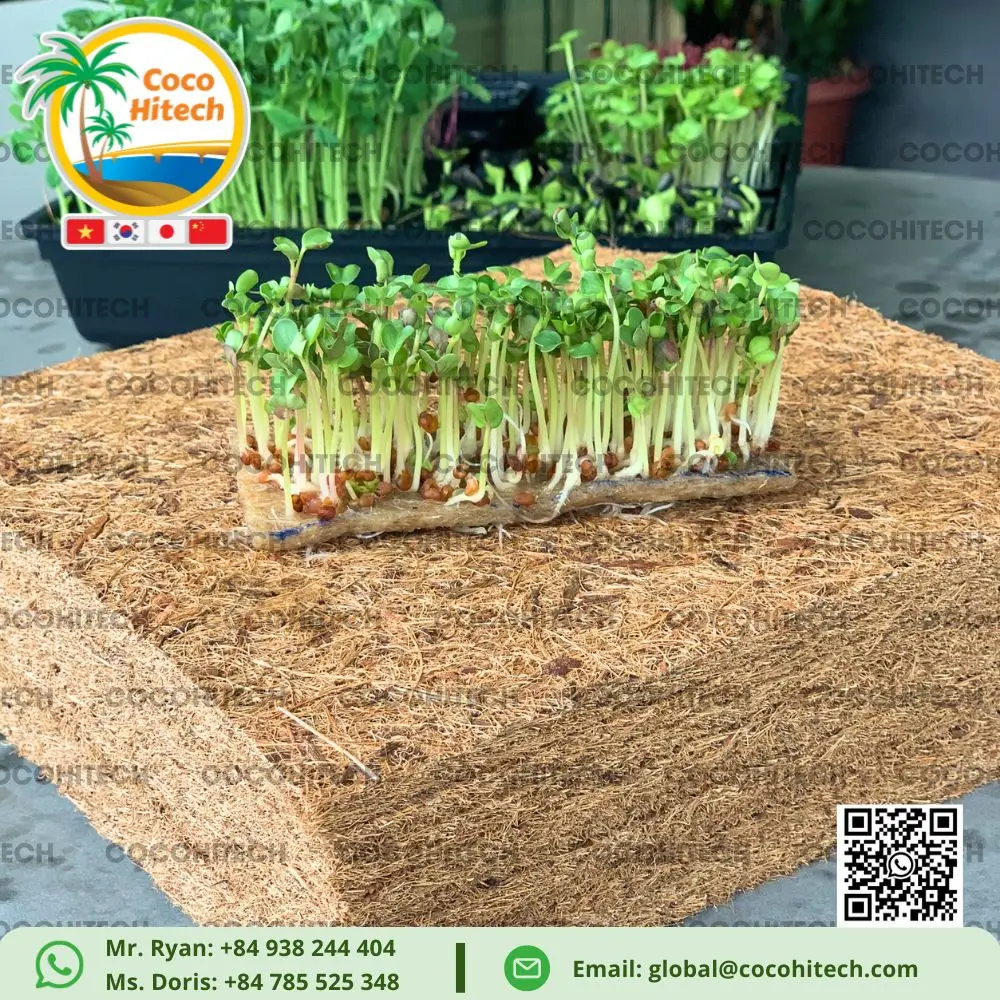 COCONUT COIR PAD SUPER THIN FOR GROWING PLANT CHEMICAL FREE