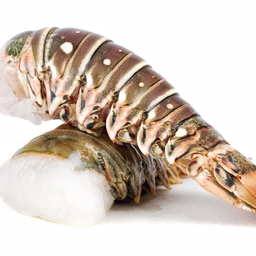 Frozen Lobster Tail for sale
