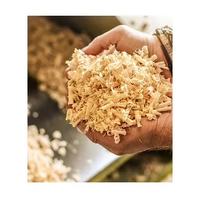 Best Price Acacia Pine Shavings Sawdust Wood Chips for Animal Bedding Dried Wood Pellet in Powder Form