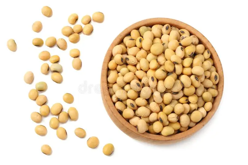 Organic Soybean Cake