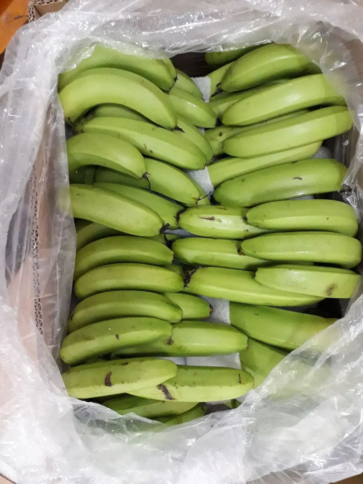 Premium Fresh Bananas, Sweet and Natural, Ideal for Snacking and Cooking, High-Quality Fruit, Bulk Orders Available, Authentic