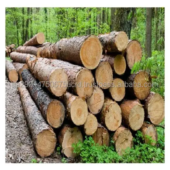 pine logs 2.jpg