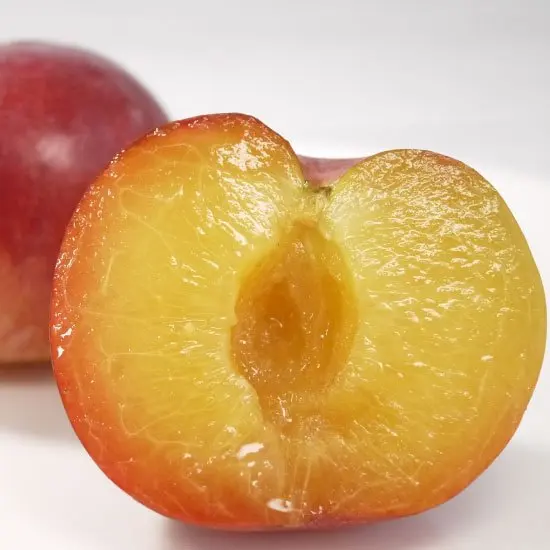 Summer Angel Fresh Plum from Japan