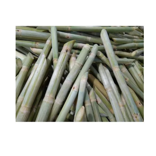 Indulge in the Taste of Vietnam: Frozen Sugarcane Sticks at Unbeatable Prices