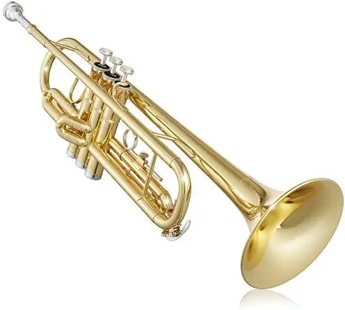 Ashthorpe Standard Bb Trumpet with Gold Brass Finished - Includes Case, Mouthpiece, Gloves, Cleaning Cloth, Valve Oil