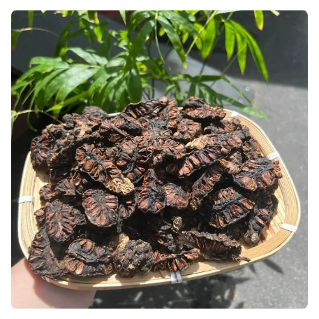 AUTHENTIC DRIED NONI FRUIT - PREMIUM ORGANIC NONI FOR HEALTH ENHANCEMENT AND DELICIOUS FLAVOR AT GREAT VALUE