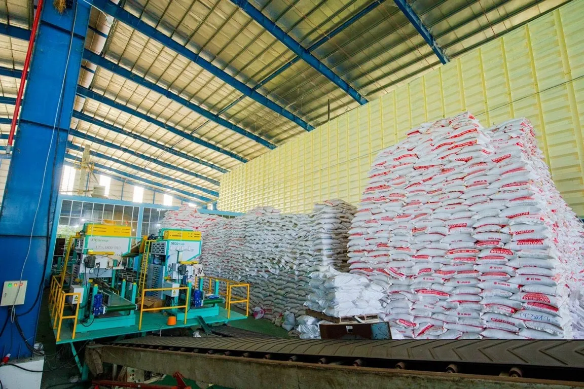 Здоровая Органическая рисовая ягода из тайского свежего риса с высоким содержанием волокна гамма-оризанол