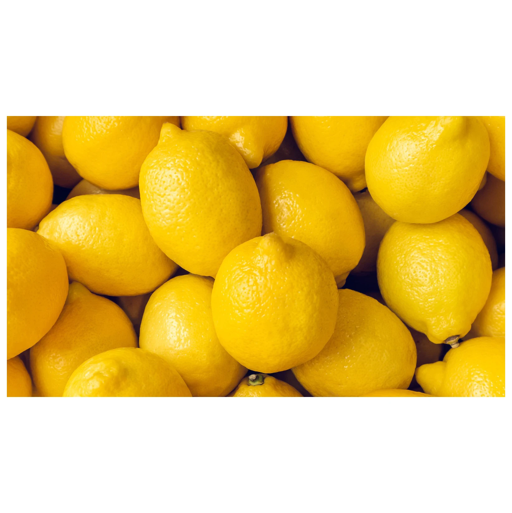 Wholesale High Quality Fresh Lemon Fresh Citrus Fruit For Sale Wholesale High Quality Fresh Lemon Fresh Citrus Fruit For Sale