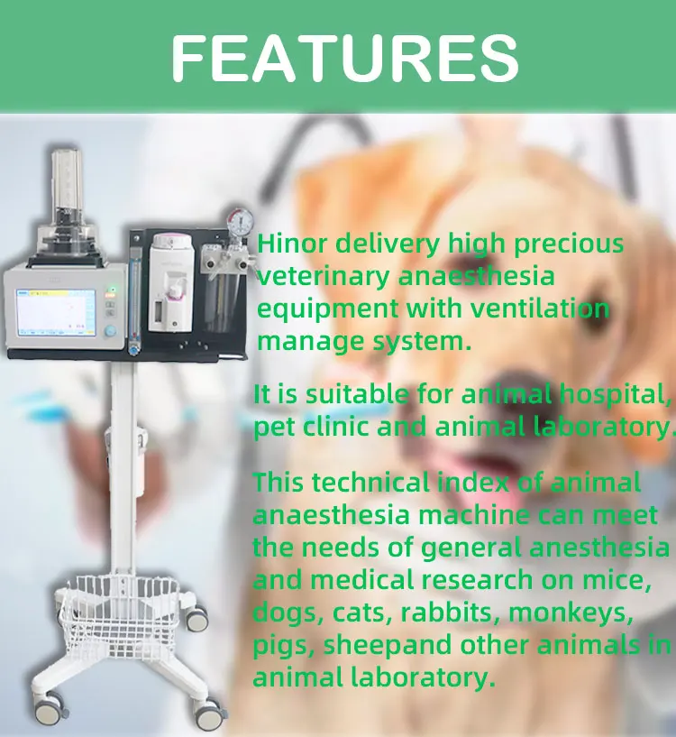 Hacemey Automatic ICU Veterinary surgical Anesthesia machine Vaporizer Anesthesia System For Vet