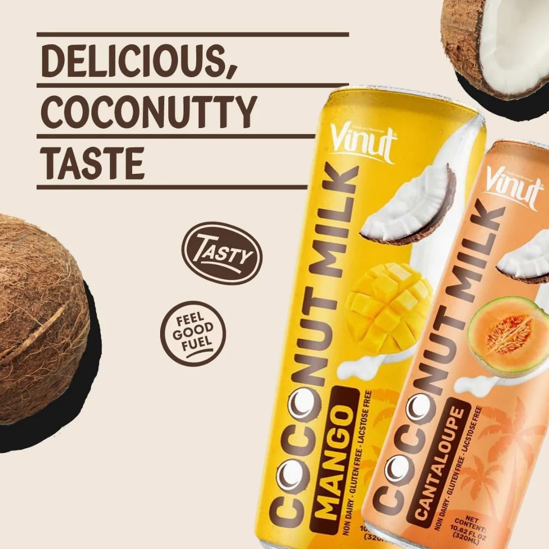 Coconut Milk w Vanilla | 320ml (Pack of 24) VINUT, Plant Based, Non-GMO, No Added Sugar, Essential Electrolytes, OEM ODM