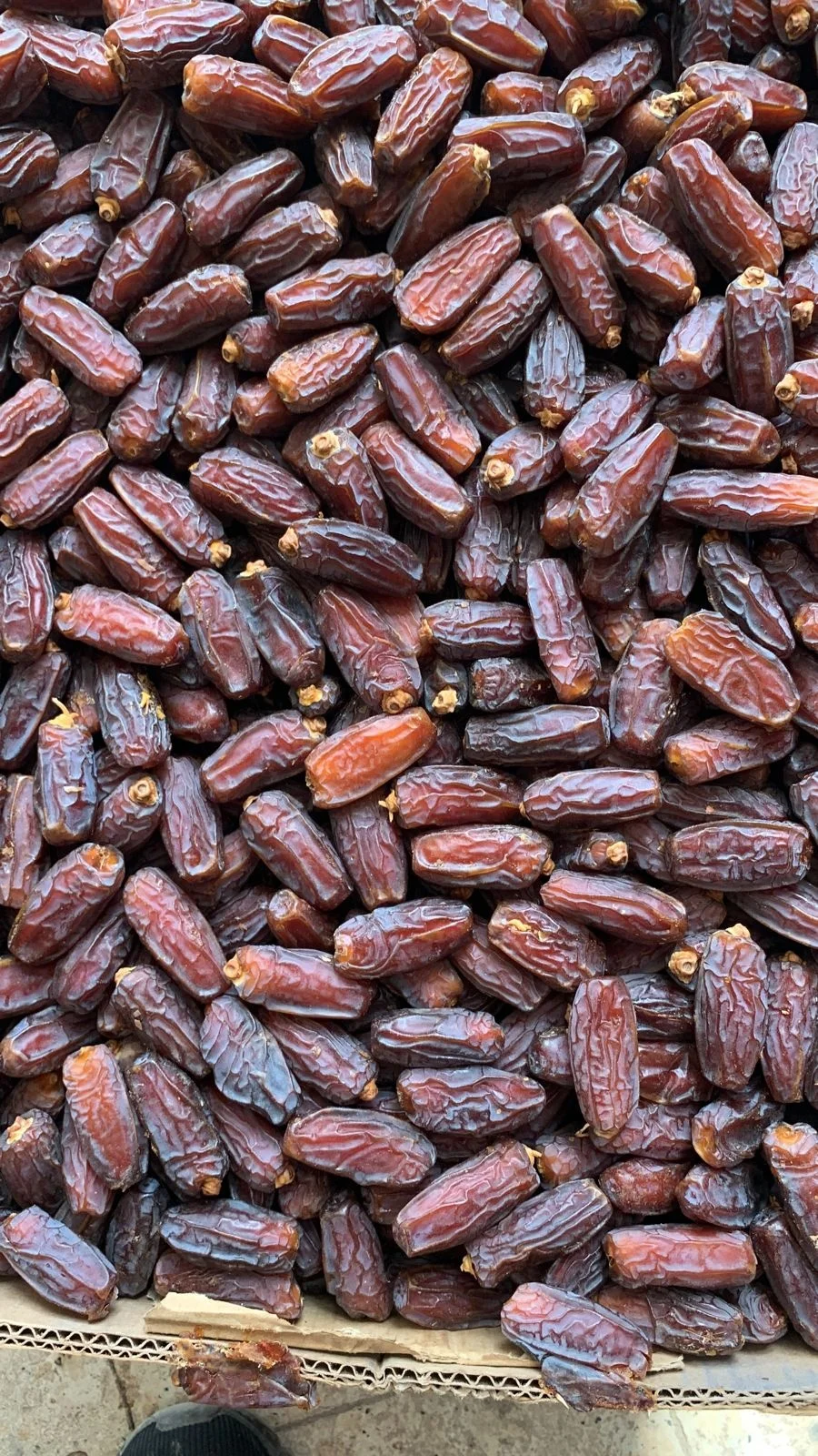 Mabroom dates for high and quick sales Ye Zao Yezao Dates for China Market from Saudi Arabia top grades competitive prices