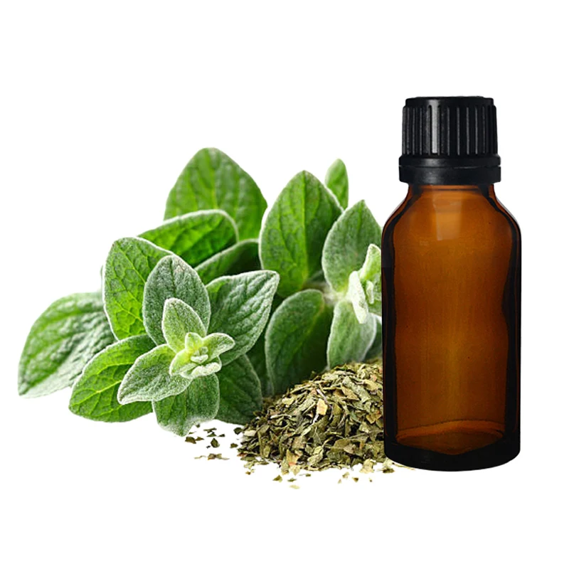 Buy Premium Quality Pure Organic Oregano Oil For Multi Uses Essential Oil Manufacture in India for Supply at Wholesale Prices