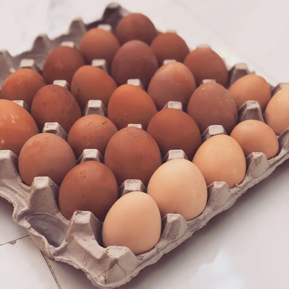Свежие коричневые и белые куриные яйца из Европы