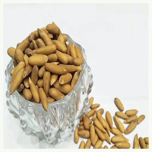 Bulk Import Wholesale Price Top Organic Pine Nuts Leisure Snacks Open Pine Nuts Ready To Export Suppliers Prices Raw