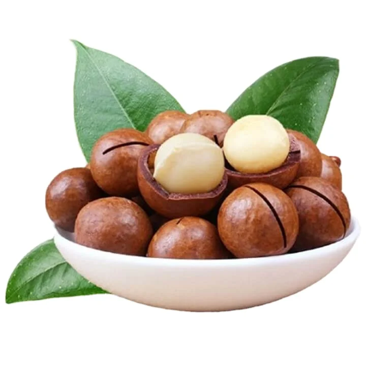 BEST RATE Vietnam Manufacturer Supply Premium quality Best Selling Healthy CRACKED ROASTED MACADAMIA NUTS 300g/500g bag